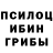 Псилоцибиновые грибы Psilocybine cubensis Kian El