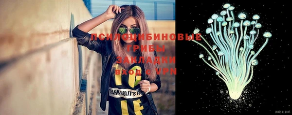 индика Алексин