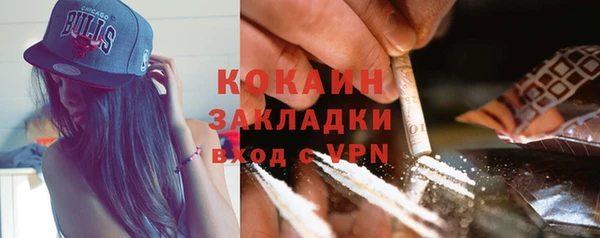 индика Алексин