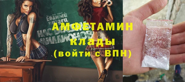 индика Алексин